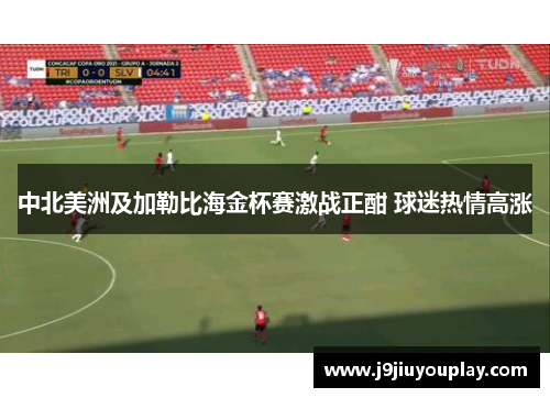 中北美洲及加勒比海金杯赛激战正酣 球迷热情高涨