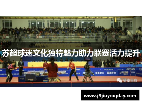 苏超球迷文化独特魅力助力联赛活力提升